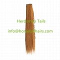 All colors of false horse forelock extension with a clip for attaching 2