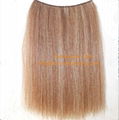 Wefted horse hairs and horse mane hairs for mane extensions and rocking horse  2