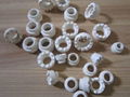  Ceramic Ferrule for Stud Welding 1