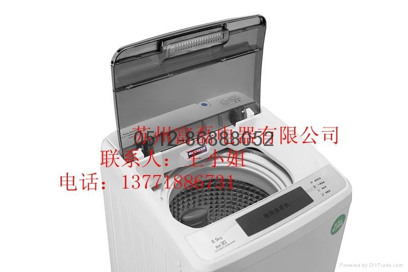 8.5公斤大容量投币洗衣机 4