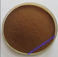 Wolfberry Powder Extract