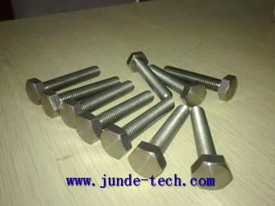 Titanium screw  2