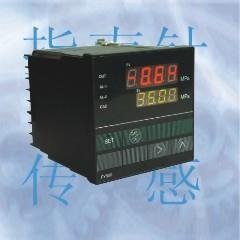 PY500Pressure/temperature meter series