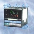PY500Pressure/temperature meter series  3