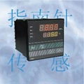 PY500Pressure/temperature meter series  4