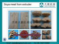 Soya chunks n   ets meat extruder