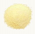 Arachidonic Acid Powder