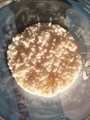 S-8 macropore adsorptive resin 3