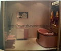 Acrylic Plate for Sanitaryware/Furniture/Bathtub