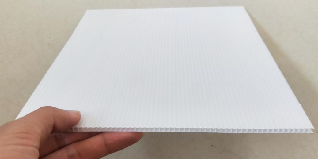 PP Sheet PP Hollow Sheet PP Corrugated Sheet 5