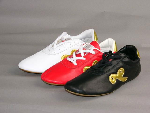 Taiji shoes