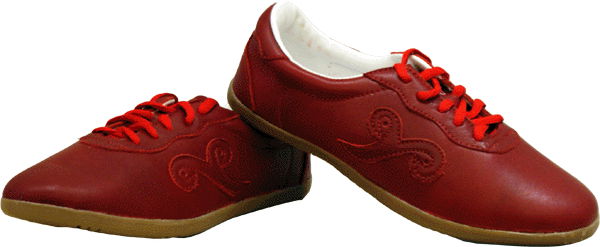 Taiji shoes 3