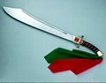 Tai Chi sword 1