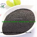 Super Potassium Humate Shiny Powder