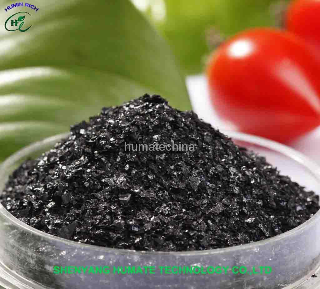 Super Potassium Humate Shiny Powder/Flake/Granule water soluble 2