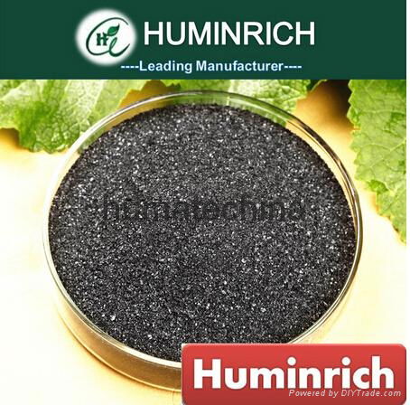 HuminRich Super Potassium Humate 100% Water Soluble Organic Fertilizer 2