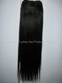 Brazilian Virgin Remy Hair Weft