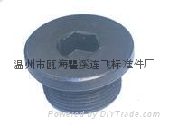 管螺紋內六角法蘭面螺塞 2