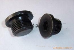 管螺紋內六角法蘭面螺塞 5