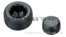 低价批发8.8级内六角喉塞 2