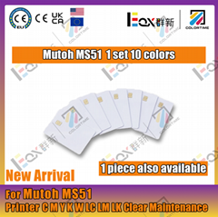 Colortime 220ml MS51 Chi (Hot Product - 1*)