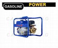 gasoline engine sprayer 1