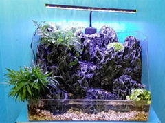 aquarium landscaping