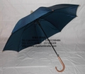 auto open umbrella