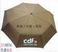 fold umbrella 3