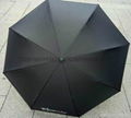 reverse umbrella