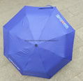 fold umbrellas