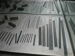 Carbide Strips