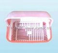 fresh box mould 2