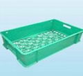 plastic beer case mould 3