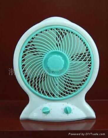 plastic electric fan mould 2