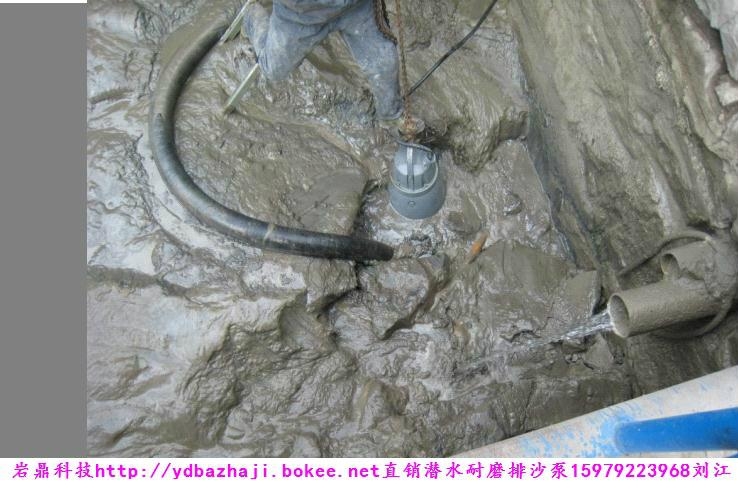 高揚程高濃度隔爆潛水排沙泵 4