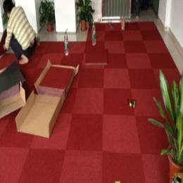 办公室地毯 3