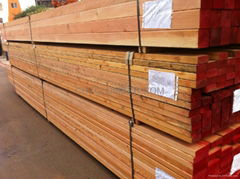 Sandal Wood Powder