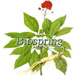 Ginseng General Ginsenosides P.E.