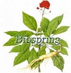 Ginseng General Ginsenosides P.E.