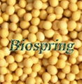 Soybean Isoflavones  1