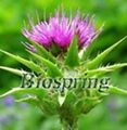 Silymarin(Milk Thistle P.E.)