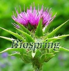 Silymarin(Milk Thistle P.E.) 