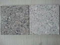 China Blue Pearl Granite 1