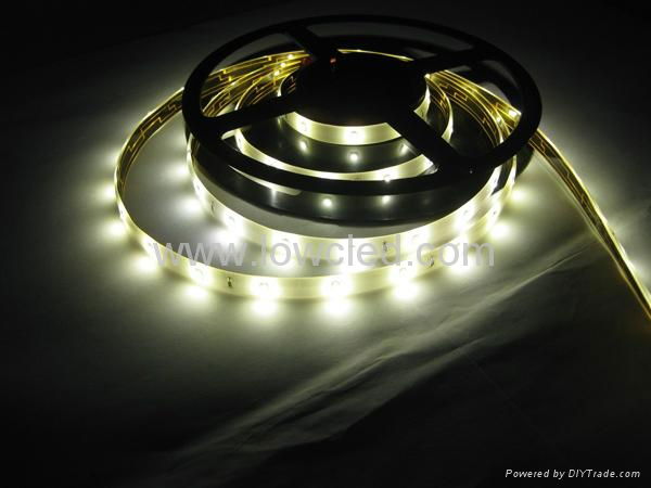 12V, 24VDC SMD5050 Epistar led strip light/led rope light IP20(LL-FSLU-5050-WW)