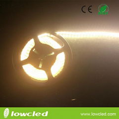 SMD3014 72W IP20 led strip light with CE, ROHS(LL-FSLU-3014-WW-120)