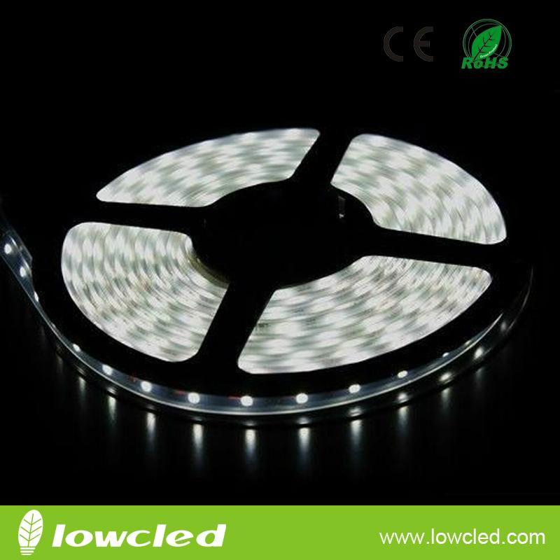 China led strip light manufacturer 2