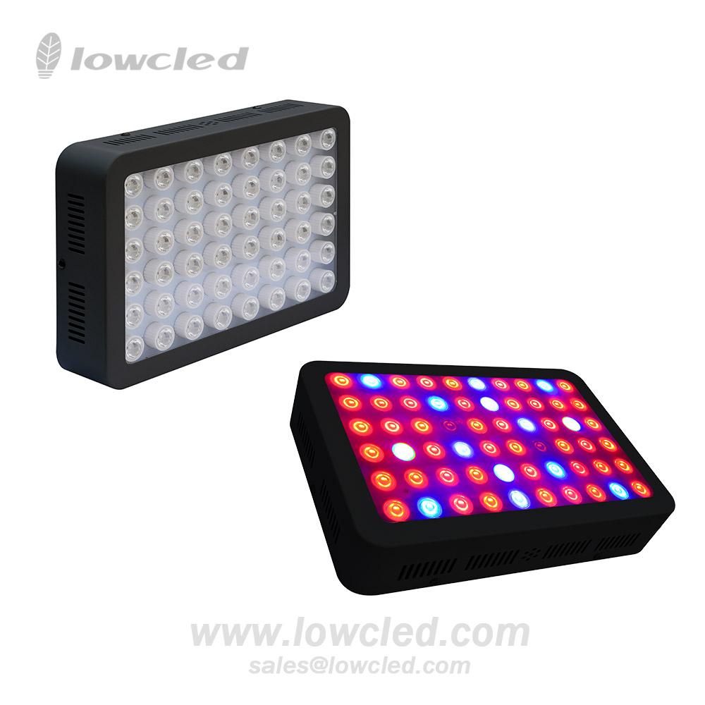 Full Spectrum 300W/600W/900W/1200W led grow light kit good for medical plant 2