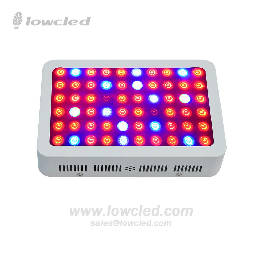 Led Grow Light 300w~1200w, 3W Chips Full Spectrum Led Grow Lights with 2 years 2