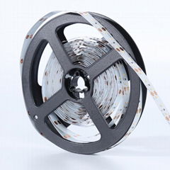 SMD2216 CRI RA90 60LEDs/M, 120LEDs/M, 240LEDs/M, 300LEDs/M led strip light